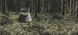 Крісло Easy Camp Willow Compact Chair L 58x65x104 см фото 6