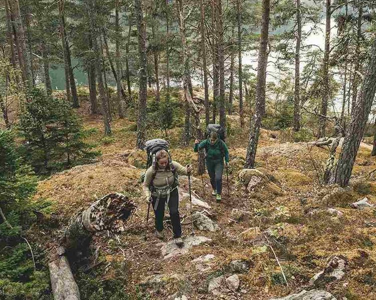 Трекінгові складні палиці Robens Coniston T7 алюміній 113,5-133 см 690378 фото