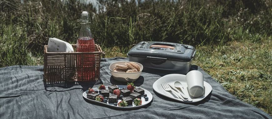 Набір для пікніка Easy Camp Picnic Box M на 4 персони 680239 фото